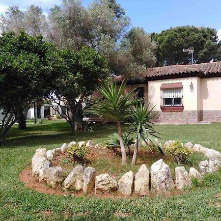 Chalet En La Barrosa, Piscina+Bbq+Grifo De Cerveza Chiclana de la Frontera Eksteriør billede
